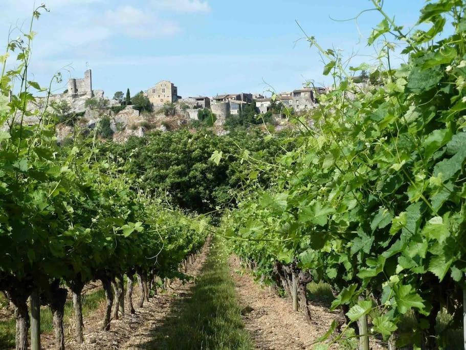 Appartement Neuf Avec Spa Saint-Martin-dʼArdèche Kültér fotó